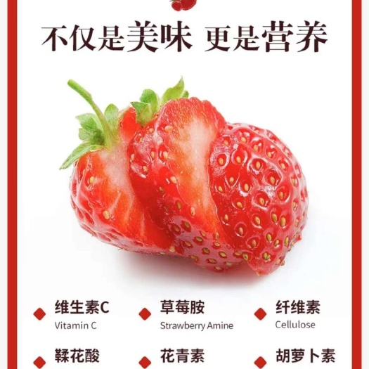 东港市2024年度丹东九九草莓 电商团队电商快递草莓开始预售接单！