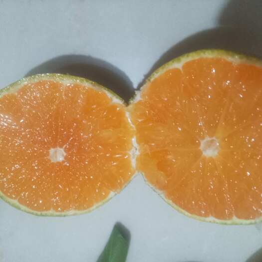 陕西城固特早蜜橘上市了，需要的及时联系，果子口感质量都很好