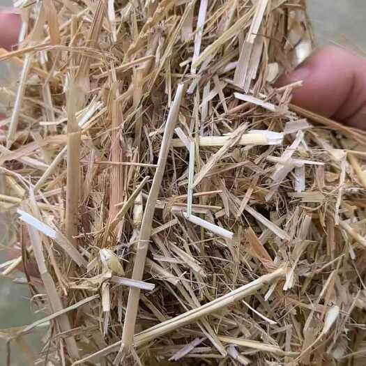 涡阳县小麦秸秆