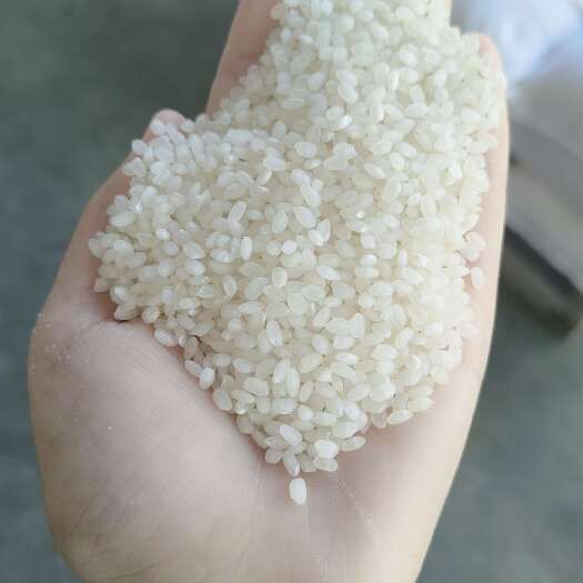 阜宁县南粳9108