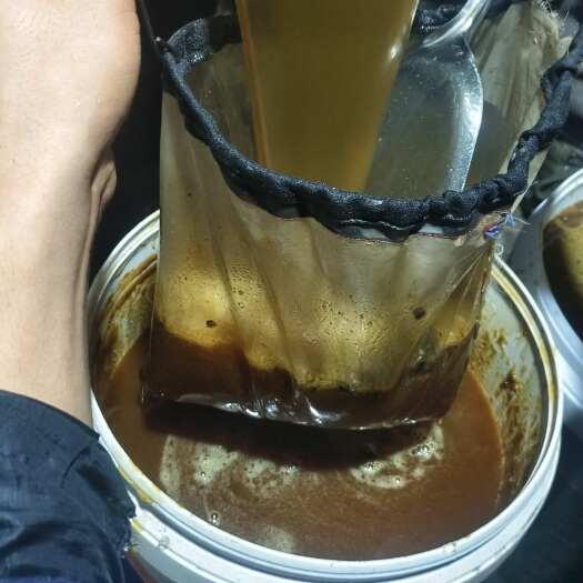 陇南土蜂蜜
