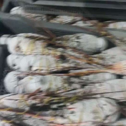广州源头货源，价格优势大，合作订单。