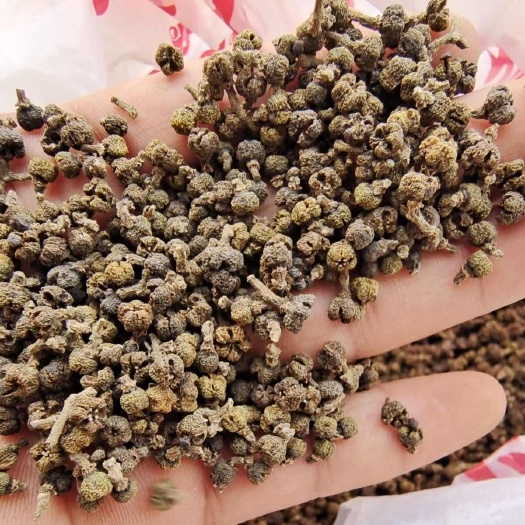 纳雍县吴茱萸 中药材吴萸小花500克包邮送运费险 吴萸 吴茱萸