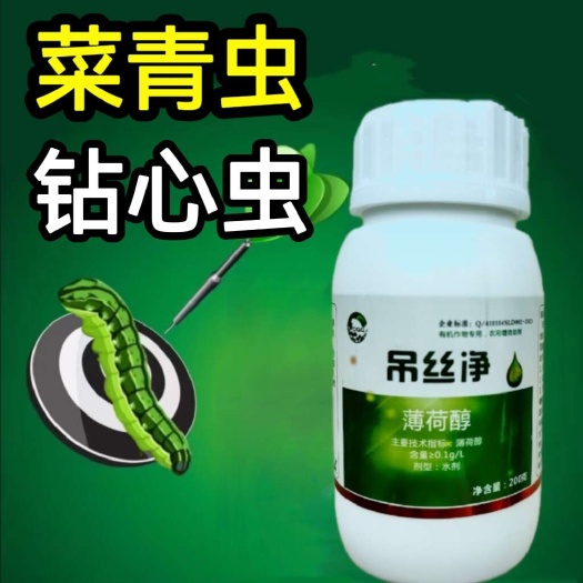 郑州蔬菜青虫 钻心虫小菜蛾 花卉果树肉虫 青菜瓜果白菜青虫食心虫