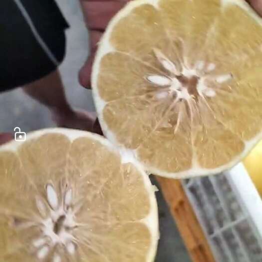 平和县黄金葡萄柚平和蜜柚当季水果黄肉蜜柚子文旦柚黄柚橘柚