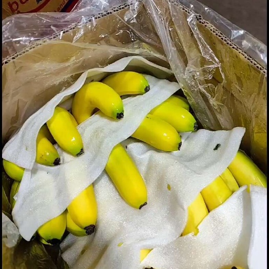 邯郸单皮箱好货 品质保证 颜色漂亮 果面干净 口感香