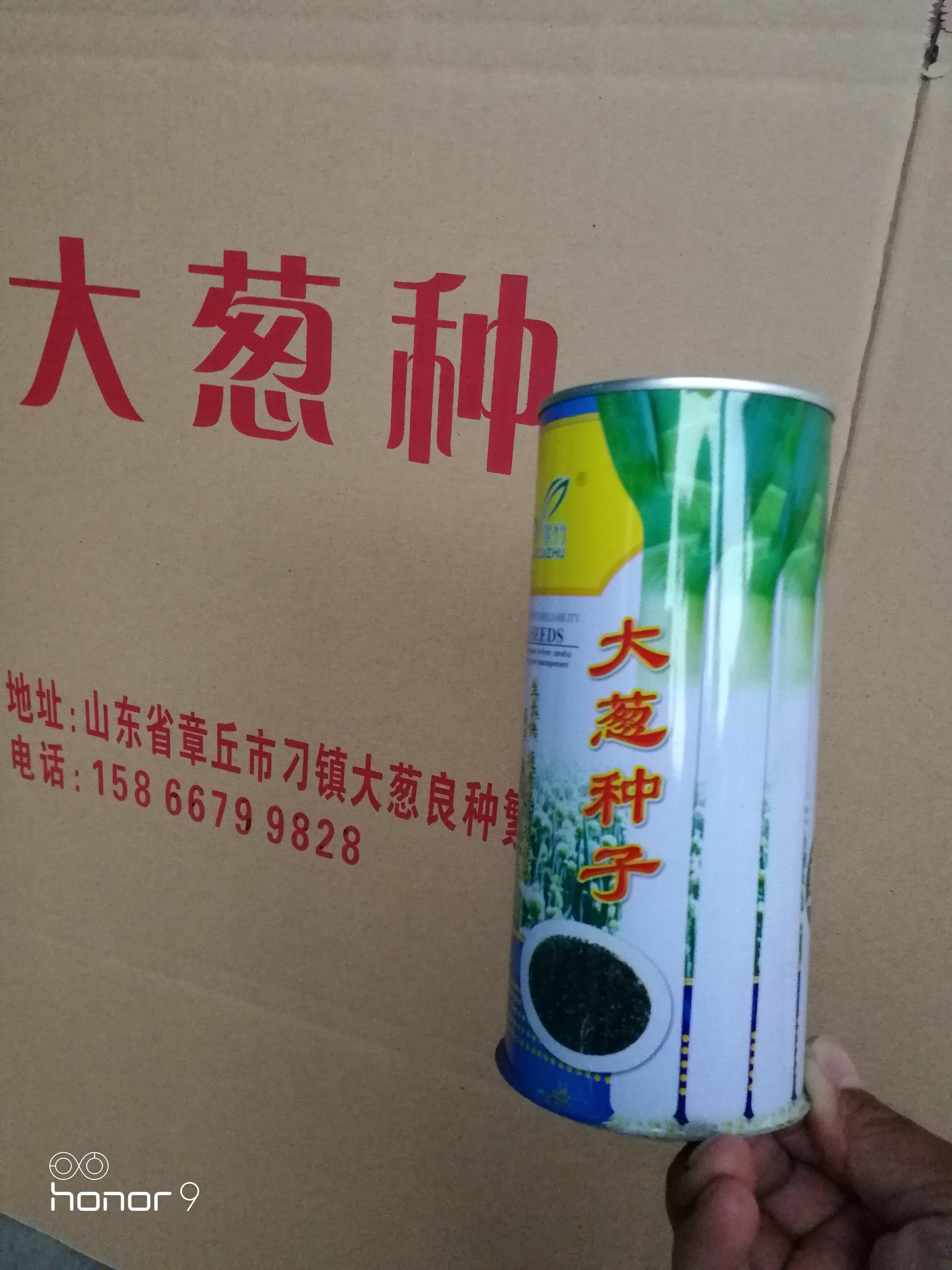 章丘市刁鎮(zhèn)連冠大蔥制種基地