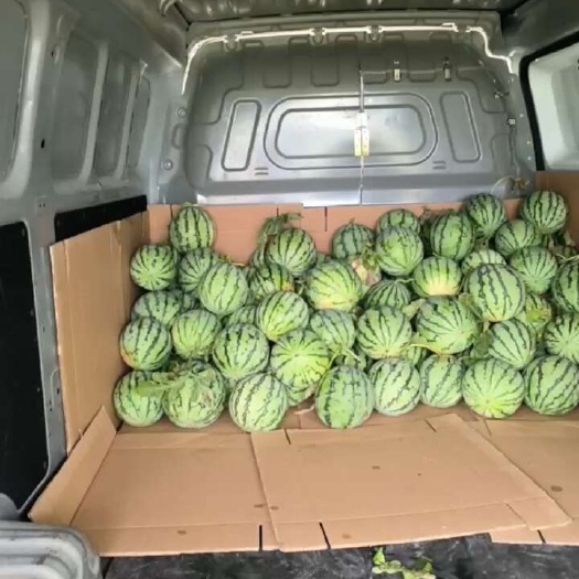 美都无籽