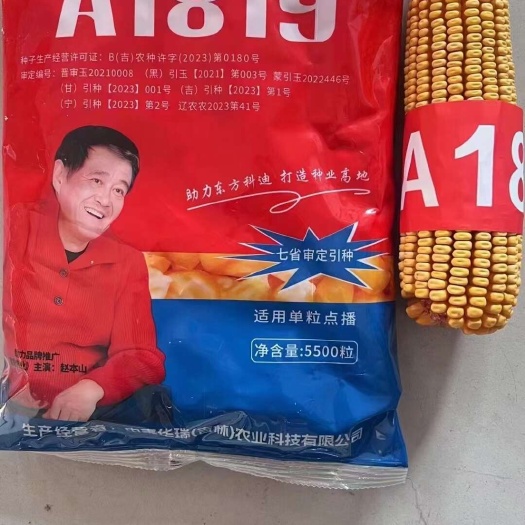赤峰优质玉米种子内蒙古赤峰发货预包装适种植大户批发采购