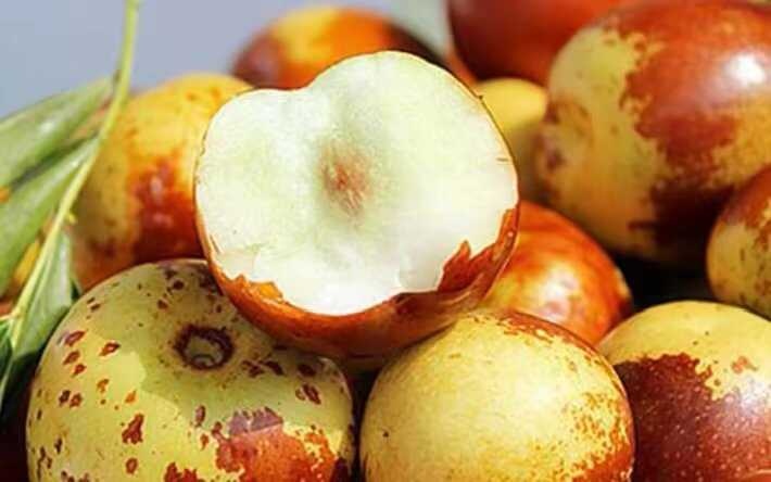 滨州鲜枣秋冬季节精选 滨州市沾化区直供新鲜冬枣 果仁饱满营养足