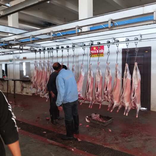 山羊肉