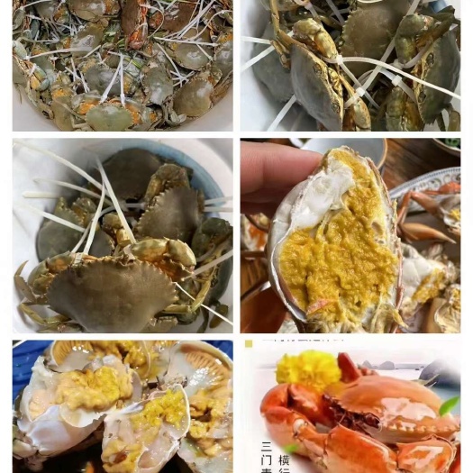 三门县三门青蟹，扎带，绑绳的自由选择