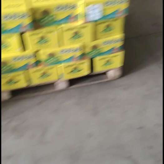 周至县徐香猕猴桃 产地直发  一件代发
