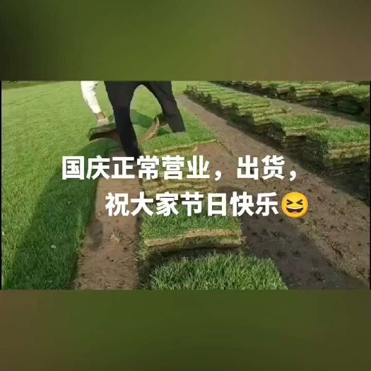 余姚市宁波草皮