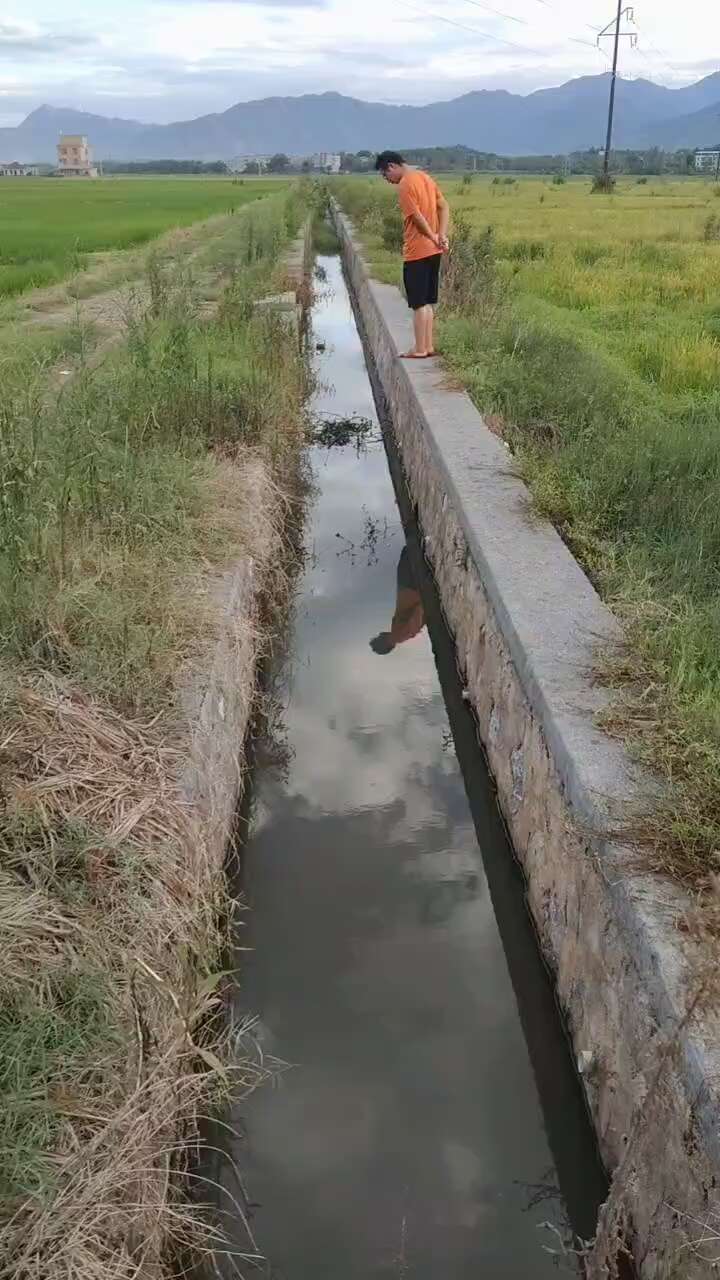 水田出租