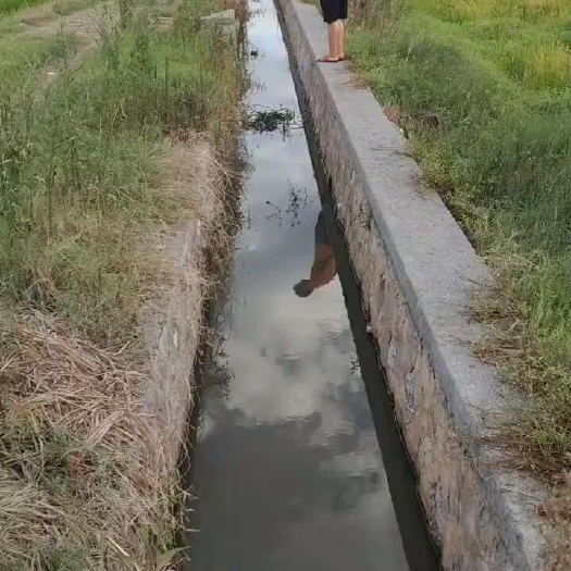 常宁市水田出租