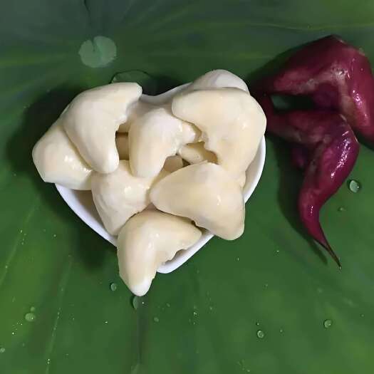 盱眙县老菱角