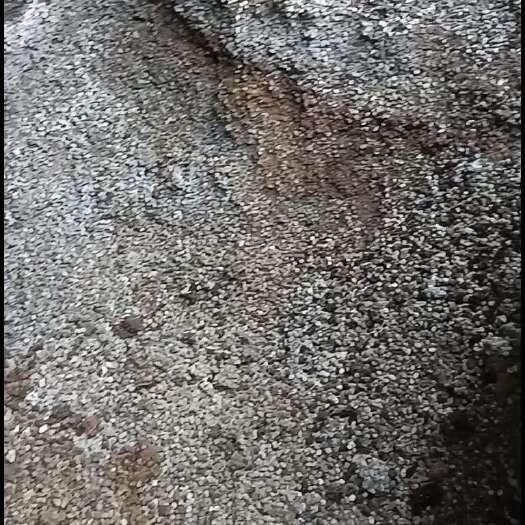 昆明高山放养纯羊粪包送到地