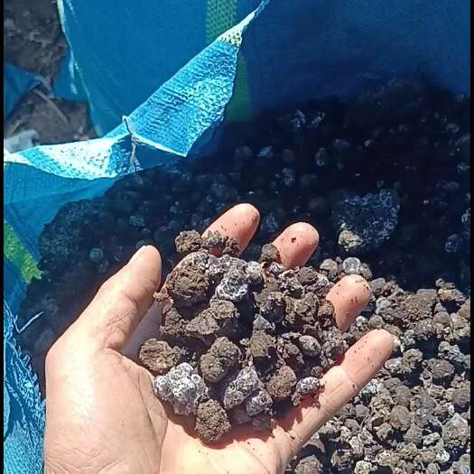 昆明高山纯羊粪是种植的好肥料昆明附近可以送货到地