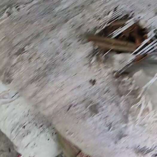 德庆县大量桂皮丶桂碎
