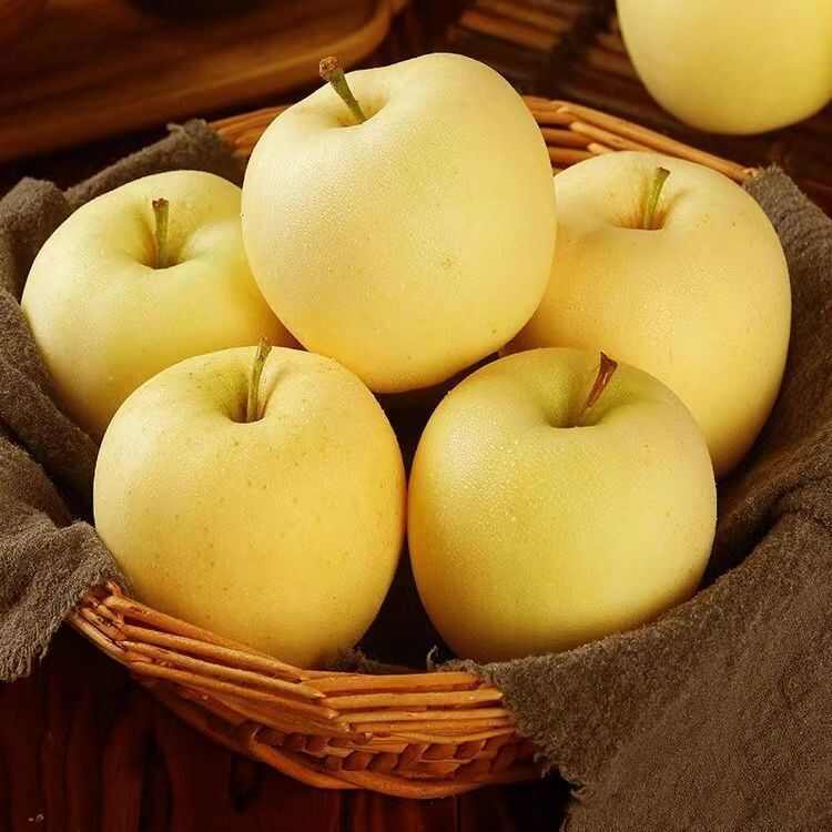 慧揚果業(yè)