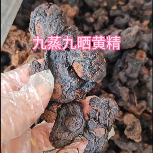 和平县九蒸九晒黄精 
姜形黄精