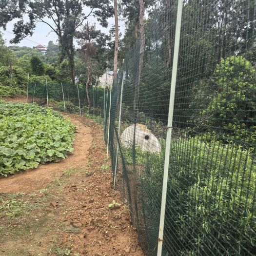 广水市小拱棚支架批发菜棚拱杆玻璃纤维杆扶苗杆草莓养殖内棚杆爬藤支撑
