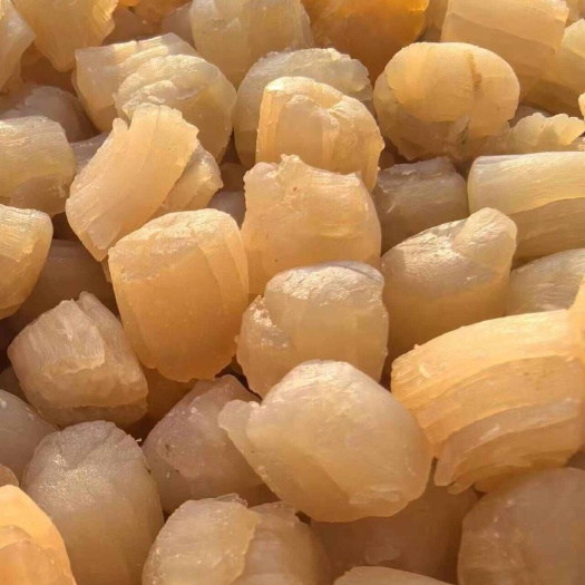 大连干贝 瑶柱干度好质量好，干度95干以上接近足干。价格优惠
