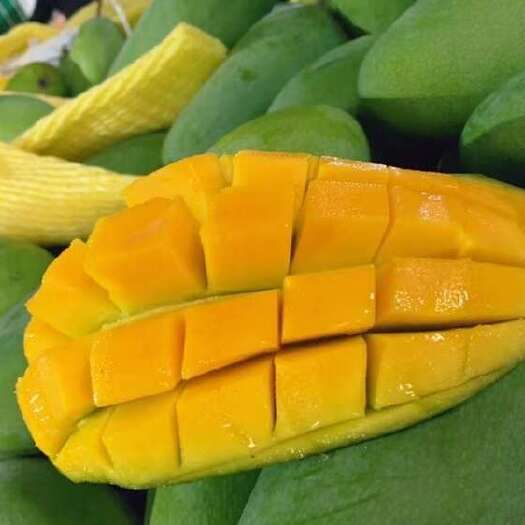 南宁云南大青芒 单果400g＋ 一件代发