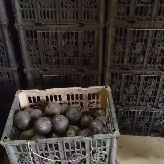 海城市冻梨 苹果梨 皮薄肉厚多汁