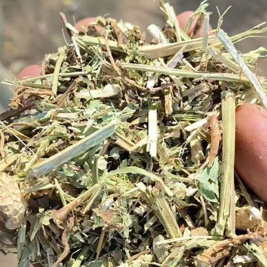 正阳县一级纯绿色花生秧过滚筒风选无土无膜大量出售中