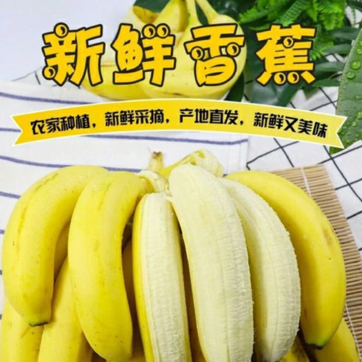 蚌埠精品香蕉