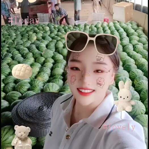 勐海县云南无籽美都