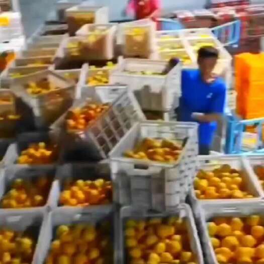 都江堰市爱园发货中  需要的滴滴