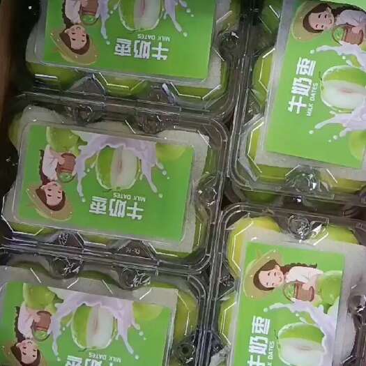 元江县云南元江青枣