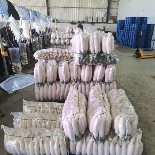天门市大量，精品白萝卜三四五排。价格美丽，有需要的来，保质保量