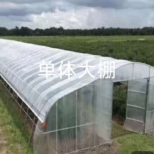 大棚框架,骨架,种植冷棚,暖棚,避雨果棚