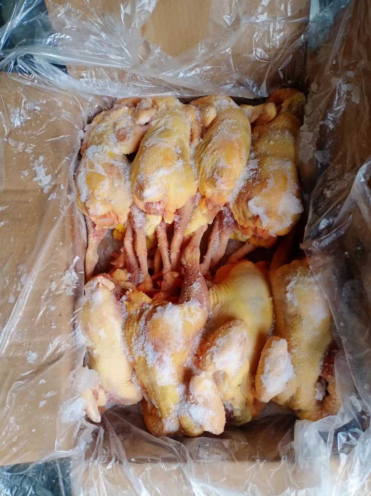 二级老母鸡  淘汰蛋鸡  土鸡