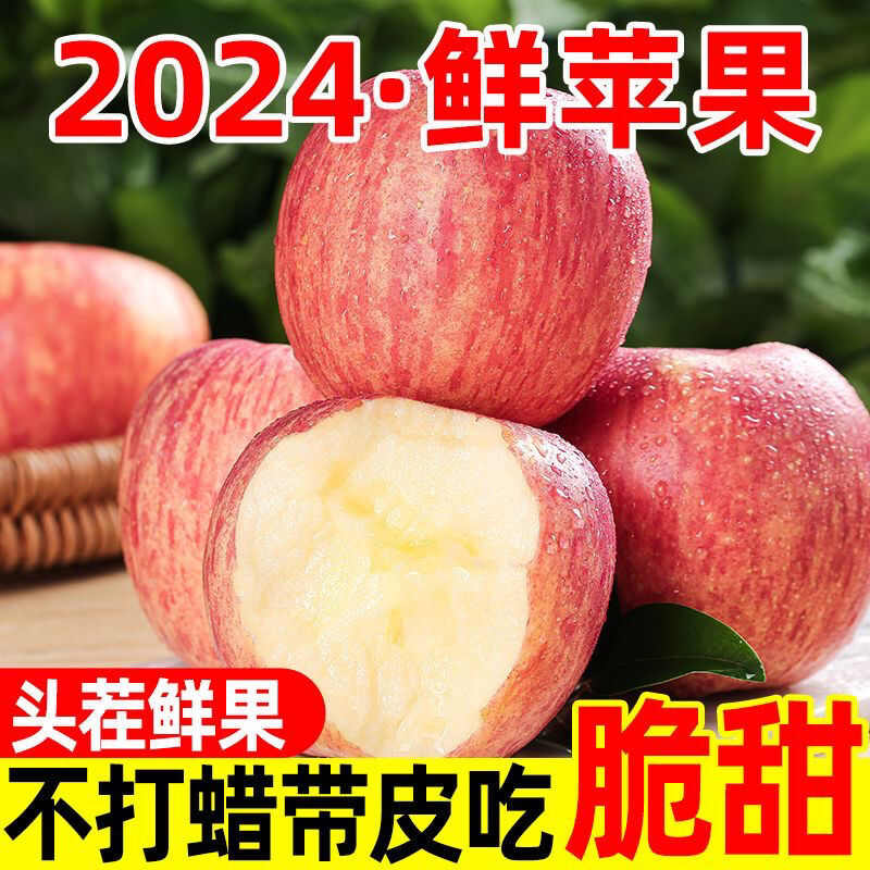 全年供应陕西洛川红富士苹果新鲜应季脆甜水果5斤 10斤包邮