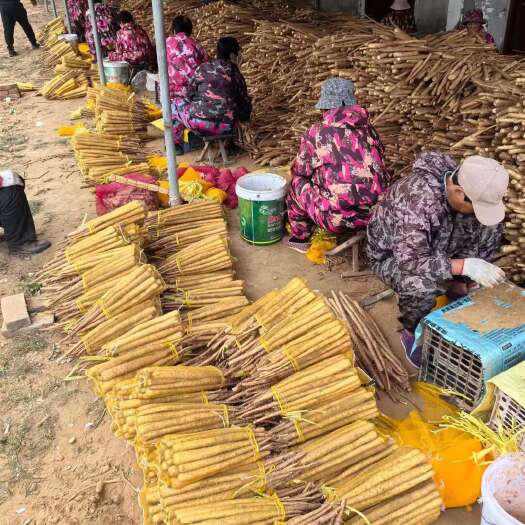 青岛产地直销物美价廉量大优惠
