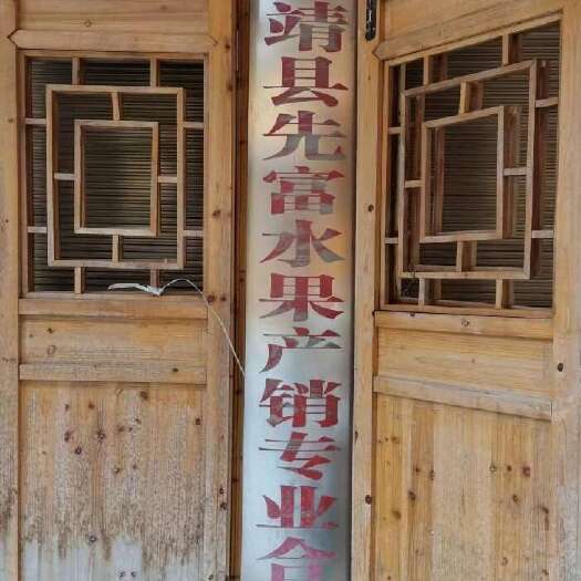 保靖县【实力推荐】精选纽荷尔脐橙基地直销质量保证可对接电商社区团