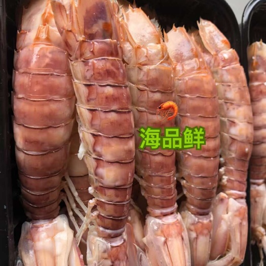 北海皮皮虾