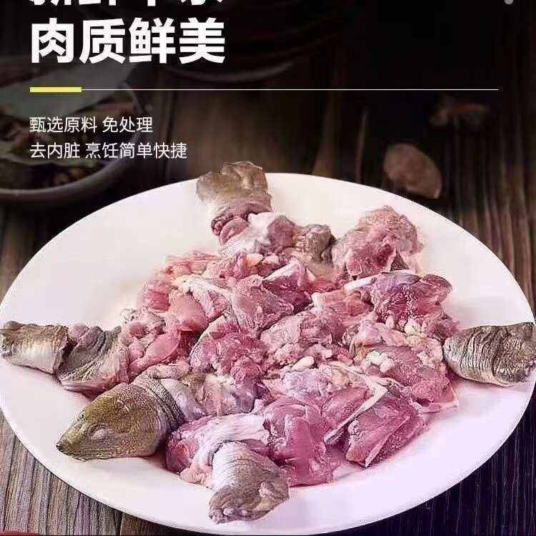 甲鱼正品保证