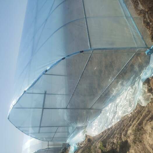无锡江苏省无锡市惠山区种植大棚直销 高品质农资农机优选蔬菜大棚