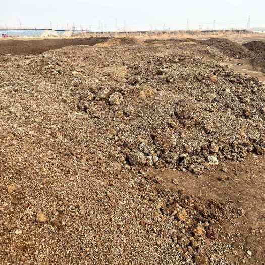 梁山县鲁西南大型牛粪基地