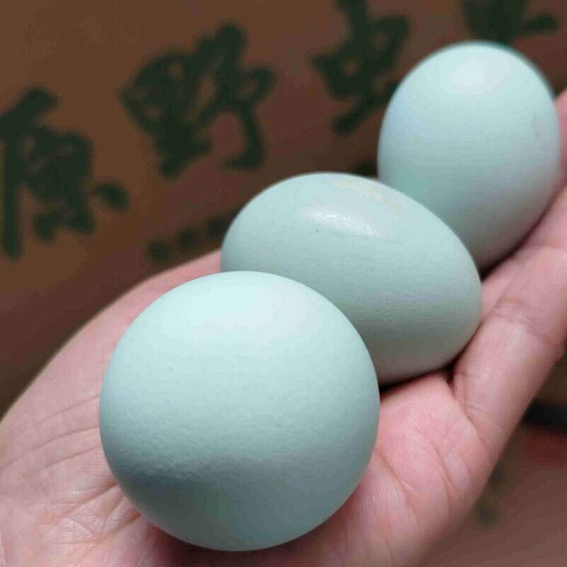 百益生態(tài)農(nóng)業(yè)有限公司