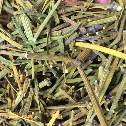 桑寄生中药材正品 桑寄生茶槲寄生桑寄生片 槲木 桑上寄生无硫