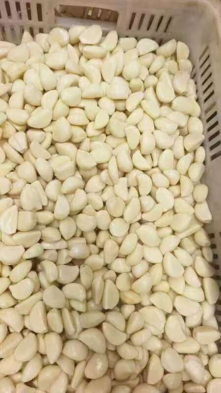 兰陵县苍山四六瓣蒜米 大颗粒7小颗粒6