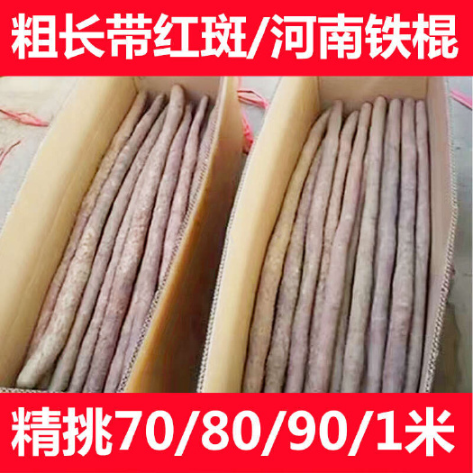 焦作粗长货/温县沙土铁棍山药怀山药红皮铁杆淮山药产地直发河南焦作