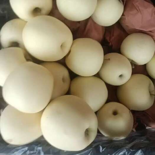昌黎县黄元帅